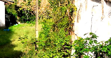 Terreno com Galpão e Casa em Jaraguá do Sul