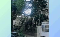 Apartamento 3 quartos 3 banheiros 1 vaga 175m²
