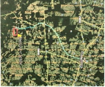 Fazenda Rural com 2.426,35ha em Alta Floresta/MT