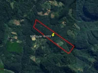 Área Rural com 29,21 ha desocupada em Itaiópolis/SC