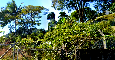 Terreno amplo de 1.262,25m² com ótima localização e documentação regular