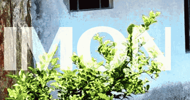 Terreno urbano em Pontal do Paraná com 385 m²