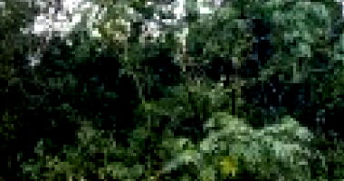 Terreno em Vargem Pequena, Rio de Janeiro