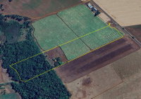 Lote Agrícola 317ha em Vicentinópolis/GO | Topografia Plana