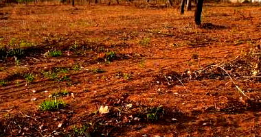 Terreno amplo em Juatuba/MG, 24.900m², ideal para investimento