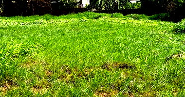 Terreno urbano de 309 m² em loteamento consolidado, pronto para construir