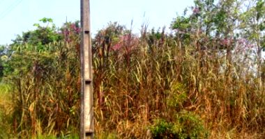 Terrenos Urbanos em Cruzeiro do Sul/AC