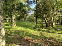 Terreno Rural com 92.529,23m² em Linha Castelli