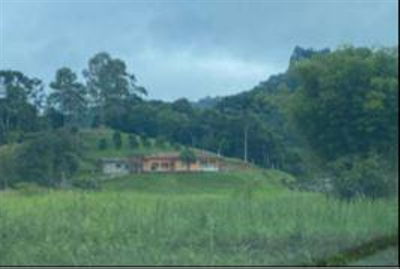 Imóvel Rural com 2.286,33 Ha em Doutor Ulysses/PR