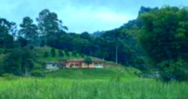 Imóvel Rural com 2.286,33 Ha em Doutor Ulysses/PR