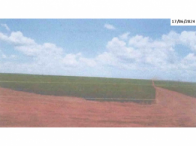 Fazenda com 312,82 hectares em Jaciara/MT
