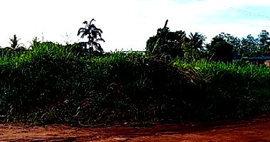 Terreno com 994m² em Novo Progresso/PA