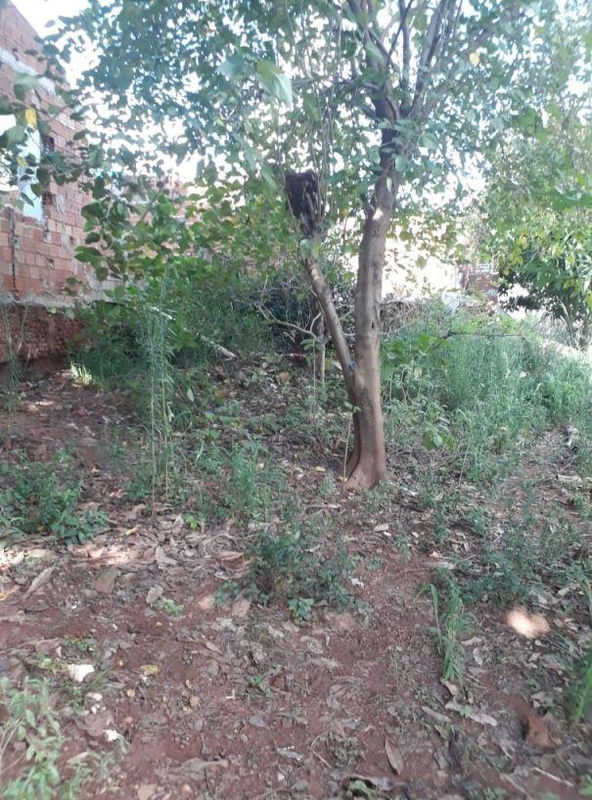 Terreno Urbano no Parque Dom Pedro I - 180m²