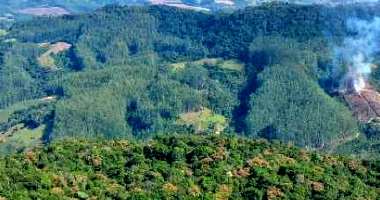 Terreno rural amplo com 138.500m², área pouco íngreme e mata nativa