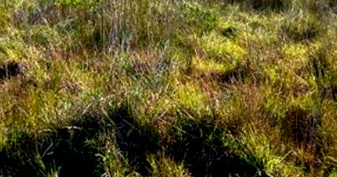 Terreno em Praia Lagoinha com 324m²