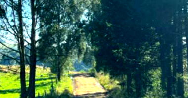 Terreno Rural com Ampla Área em Fraiburgo - SC