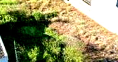 Terreno Urbano com 407,70m² em Dois Vizinhos - PR