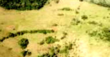 Imóvel Rural com 61.000,00m² em Manfrinópolis/PR