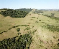 Imóvel Rural com 61.000,00m² em Manfrinópolis/PR