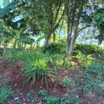 Fração ideal de 491m² em área cultivada ampla, Fazenda Vilanova