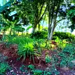 Fração ideal de 491m² em área cultivada ampla, Fazenda Vilanova