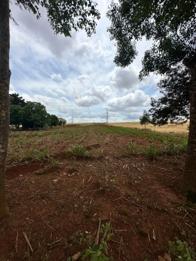 Imóvel Rural com 11.718m² e Casa de Madeira em Ronda Alta/RS