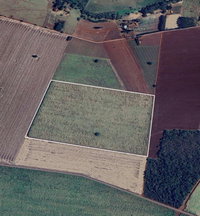 Fazenda Sete Lagoas - 19,36 ha - Ocupada