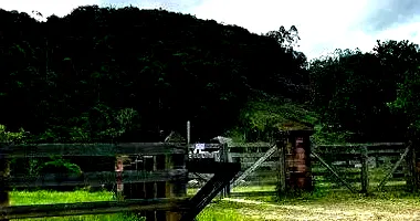 Terreno Rural em Leilão com 57.750m² em São João Batista/SC