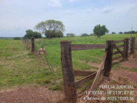 Imóvel Rural com 50 hectares e 4.562 m², 2 quartos, 1 banheiro