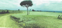 Terreno Rural de 2.500m² sem Benfeitorias
