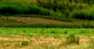 Imóvel Rural com 16 Ha em Lagoa Formosa/MG