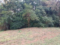 Chácara com residência de 160 m² em terreno de 3.110 m²
