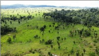 Terreno rural com 14,6068 ha em Ouro Preto do Oeste/RO