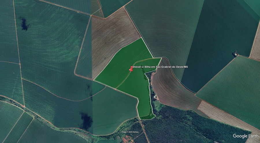 Fazenda Santa Cecília com 80ha em São Gabriel do Oeste/MS