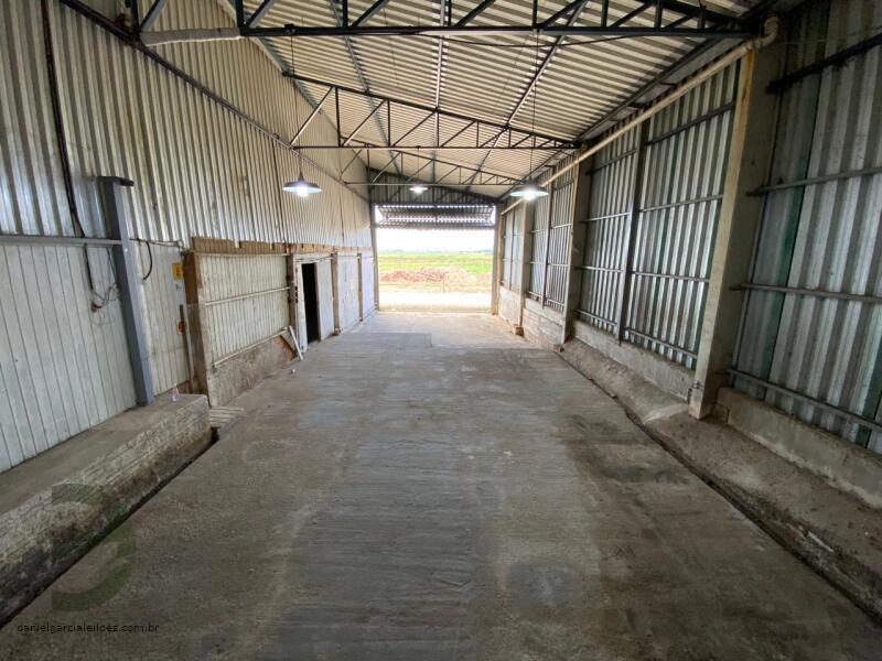 Terreno urbano 438m² em Tubarão/SC - Oportunidade única!