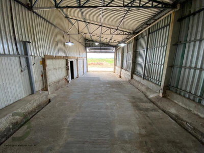 Terreno urbano 438m² em Tubarão/SC - Oportunidade única!