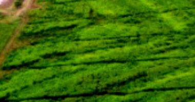 Imóvel Rural de 16.94ha em Francisco Alves/PR