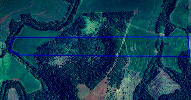 Fazenda Adamantina com 13 alqueires em Engenheiro Beltrão/PR