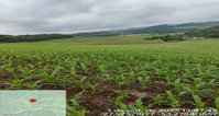 Lote Rural 3,125 ha em Jaboticaba/RS - Oportunidade Única!