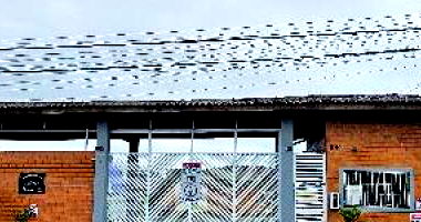 Casa com 2 quartos, 1 banheiro e 1 vaga em Itanhaém