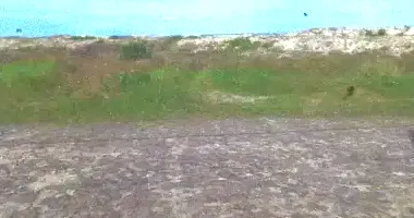 Terreno em Loteamento Novo Curumim