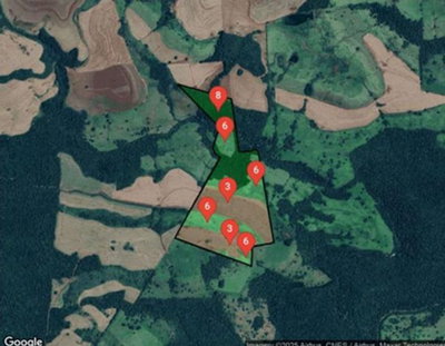Imóvel Rural com 13.55 Alqueires - Campo Bonito/PR