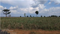 Imóvel Rural com 12,10 ha em São José do Rio Claro - MT
