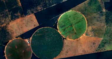 Fazenda Boqueirão com 484 hectares em Montes Claros/MG