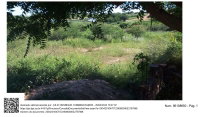 2 lotes urbanos com 1.000m² em Avelino Lopes