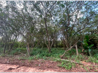 Terreno em Castanhal - PA com 1.500m²