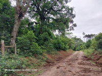 Terreno Rural com 36.300m² em Lapa/PR