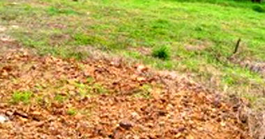 Lote Urbano em Saudades/SC com 436,95m²