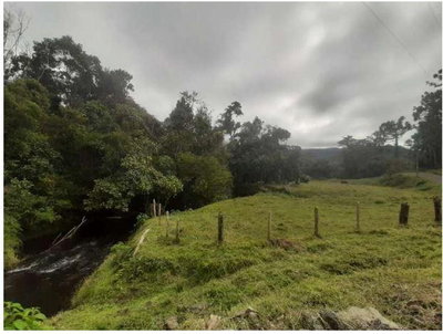 Terras Rurais com 845,9 Hectares - Sem Benfeitorias