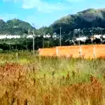 Terreno com 208,40m² no Vila Nova, desocupado e pronto para investimento